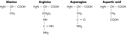 amino acid #1