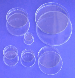 petri dishes