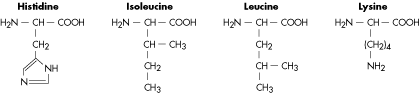 amino acid #3